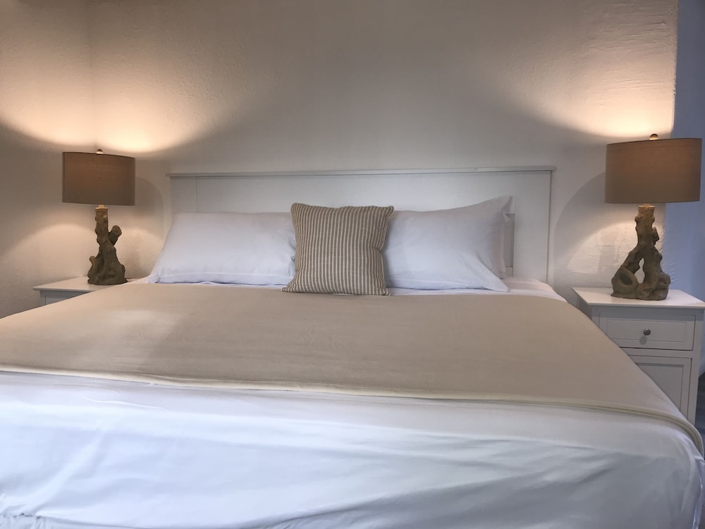 Luxury Studio, 1 King Bed, Refrigerator photo 1
