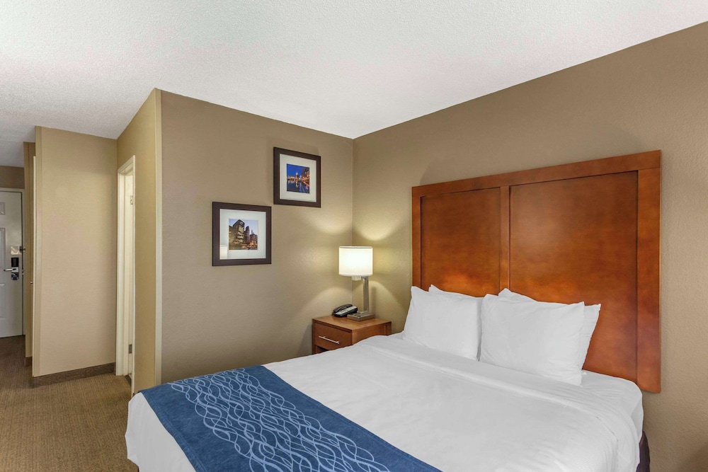 Room, 1 Queen Bed, Accessible, Non Smoking (Accessible Tub) - Photo 6