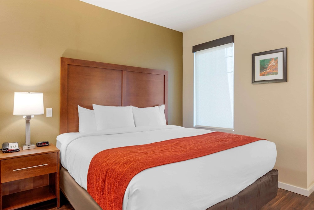 Suite, 1 King Bed with Sofa bed, Accessible, Non Smoking - Photo 1