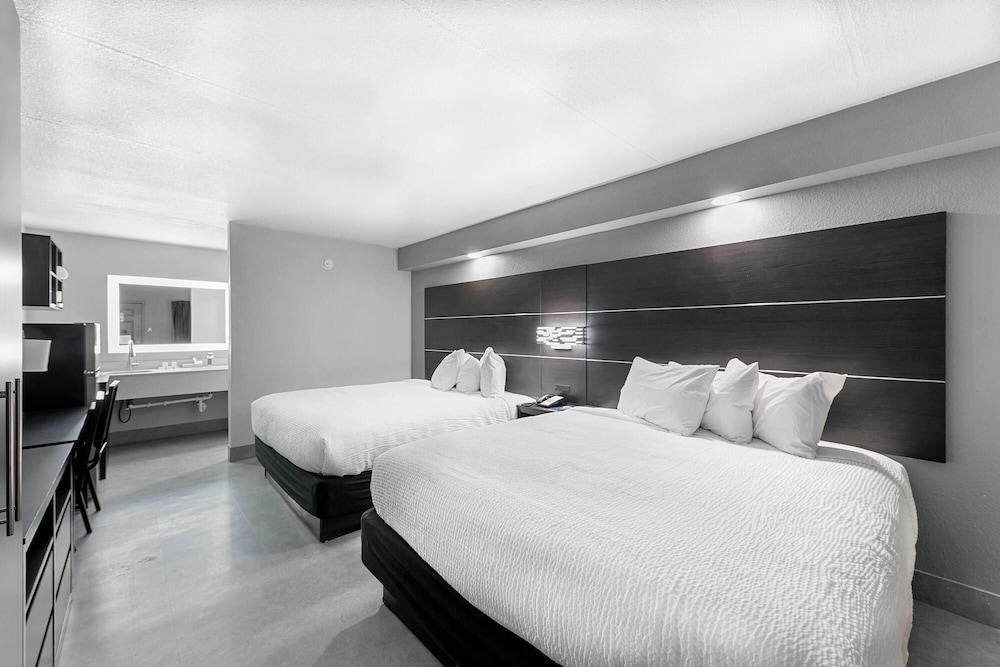 Suite, Multiple Beds, Non Smoking - Photo 1