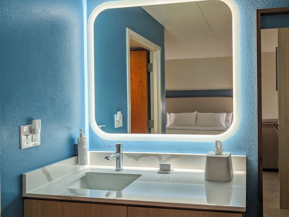 Suite, 1 King Bed, Accessible, Bathtub (Washer & Dryer) - Photo 7