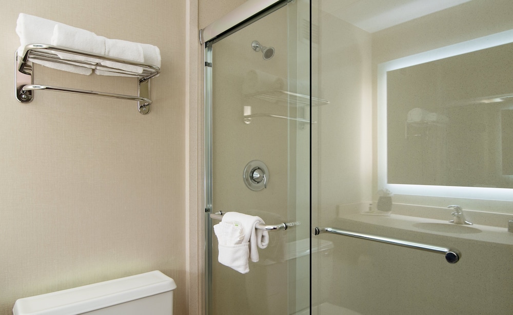 King Room with Communications Accessible Transfer Shower thumbnail 6