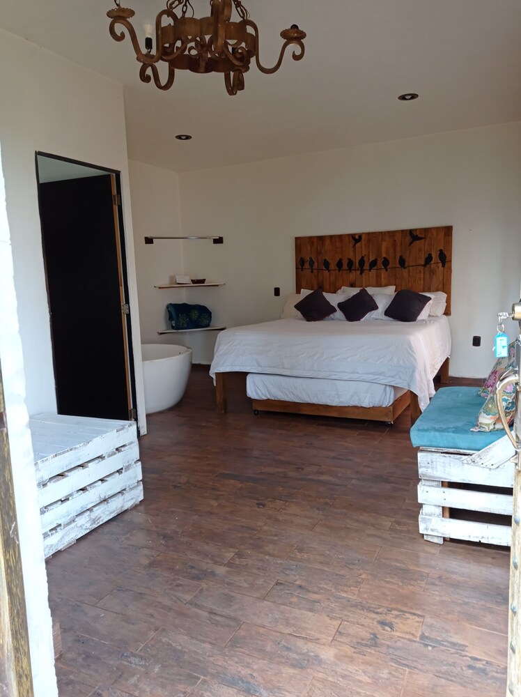 Deluxe Double Room photo 1