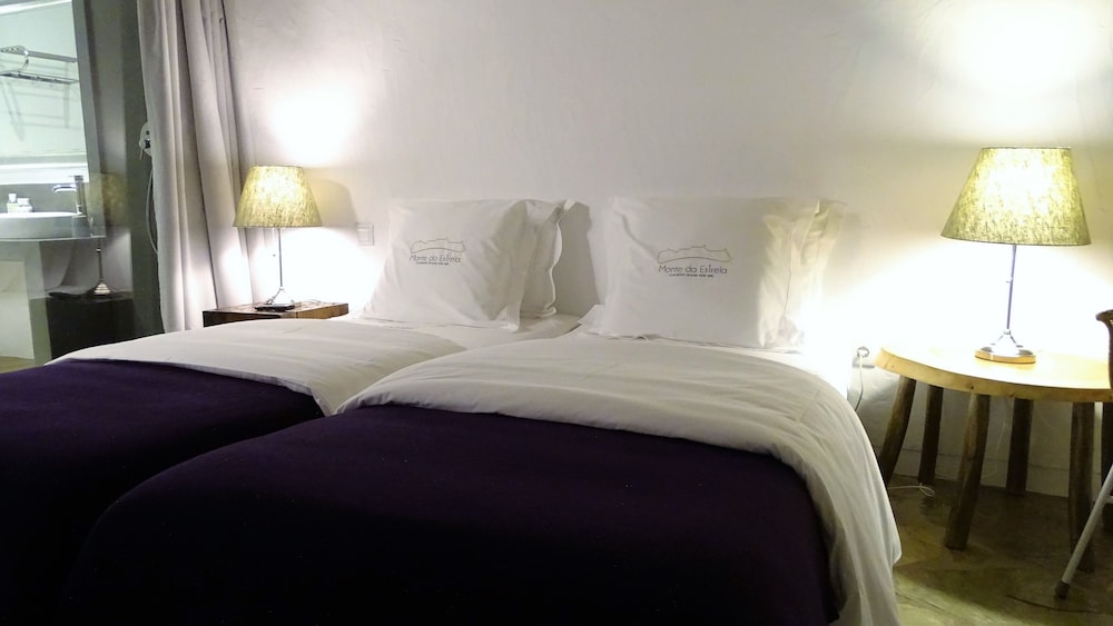 Double or Twin Room photo 3