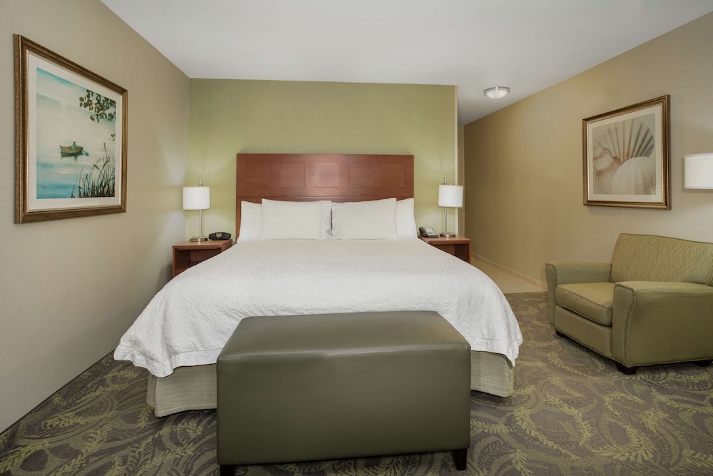 Room, 1 King Bed, Accessible (Hearing) photo 2