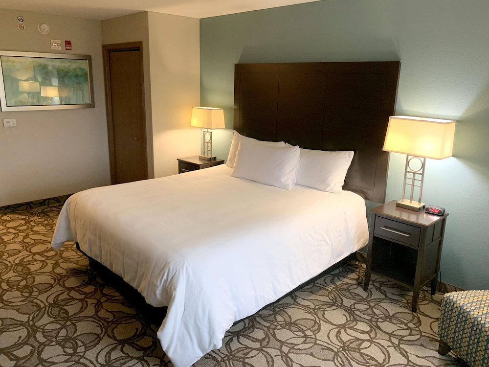 Room, 1 King Bed, Non Smoking photo 3
