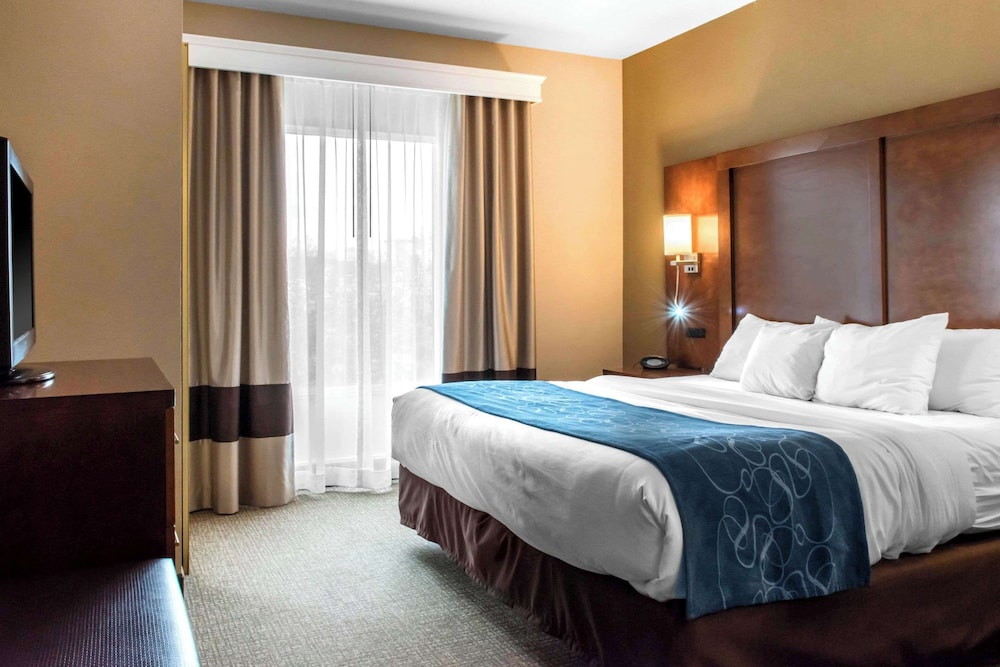 Suite, 1 King Bed with Sofa bed, Non Smoking (Efficiency, Upgrade) - Photo 1