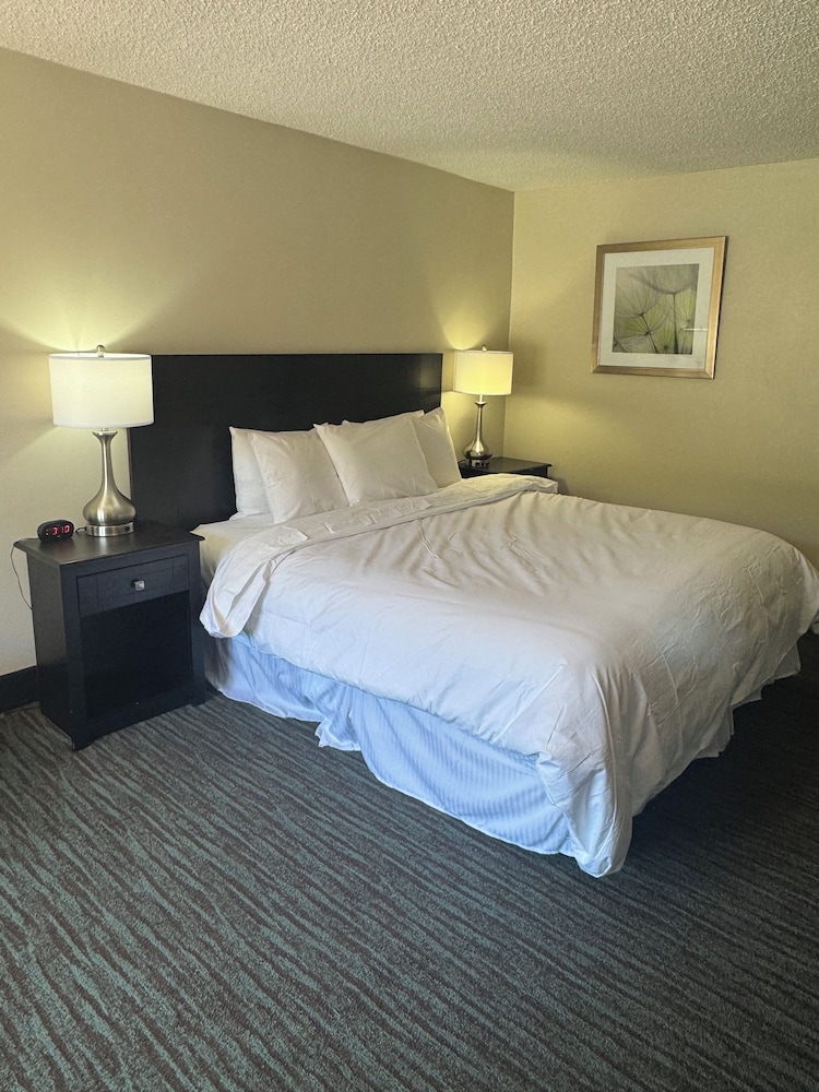 Room, 1 King Bed photo 1
