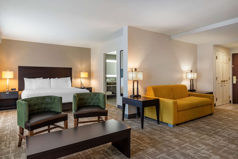 Suite, 1 King Bed, Non Smoking, Refrigerator & Microwave (Shower Only;Larger Room;with Sofabed) photo 1