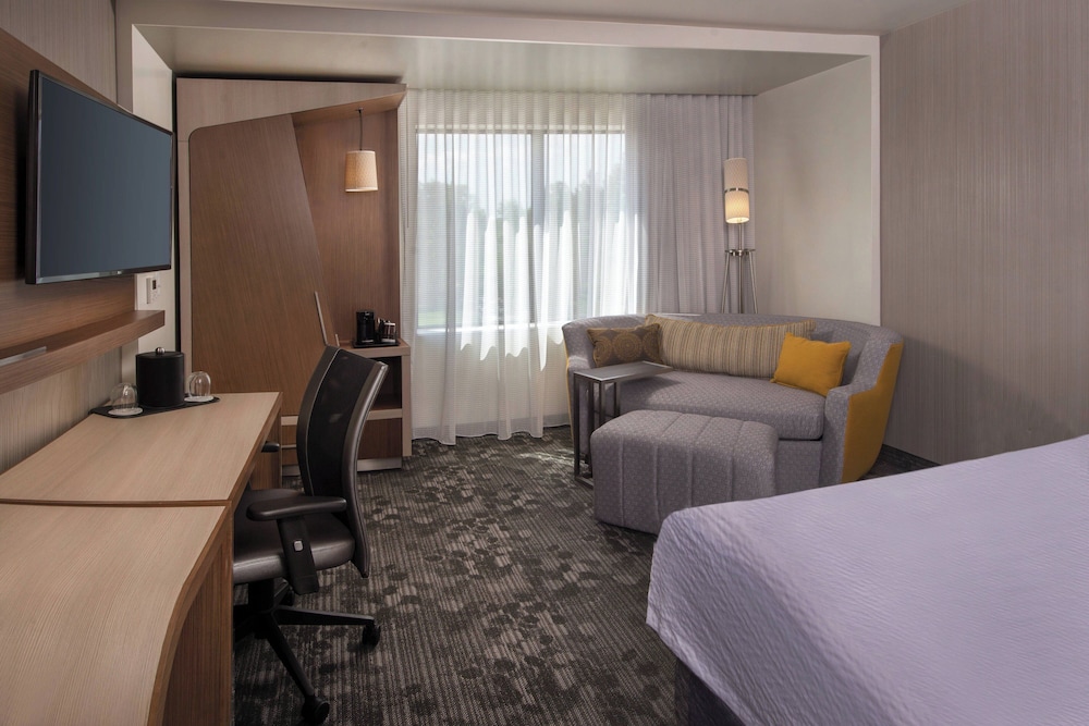 Room, 1 King Bed with Sofa bed (Hearing Accessible)