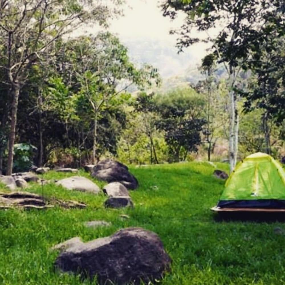 Basic Tent, 2 Twin Beds, Non Smoking photo 1
