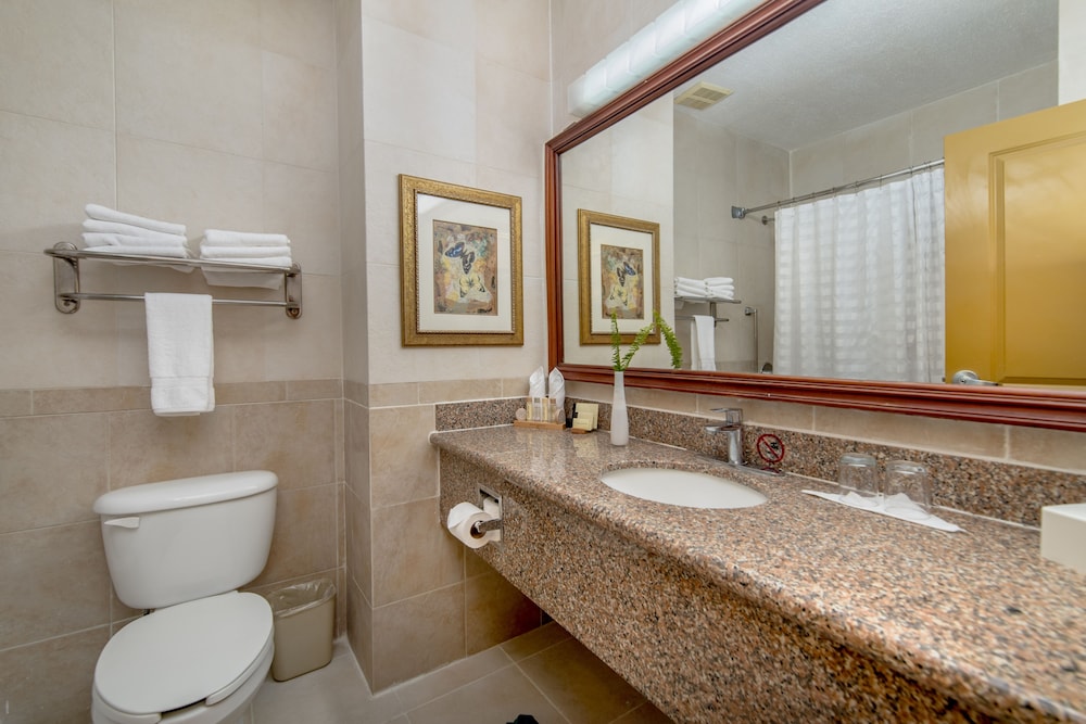 Standard Suite - Photo 4