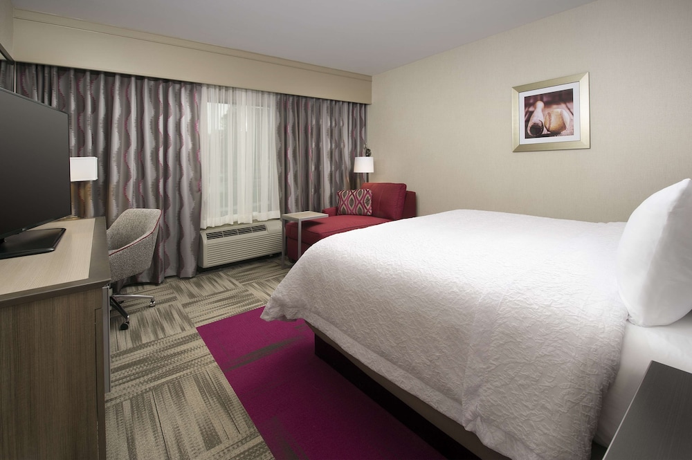 Room, 1 King Bed, Accessible, Non Smoking (Roll-in Shower) photo 2
