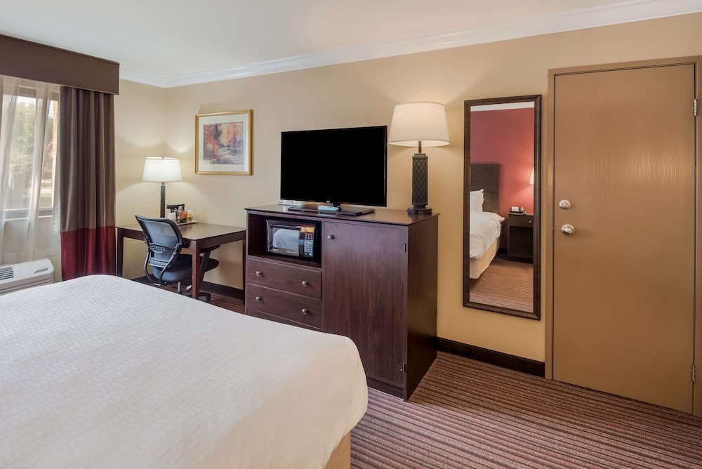 Standard Room, 1 King Bed, Non Smoking, Refrigerator & Microwave photo 3