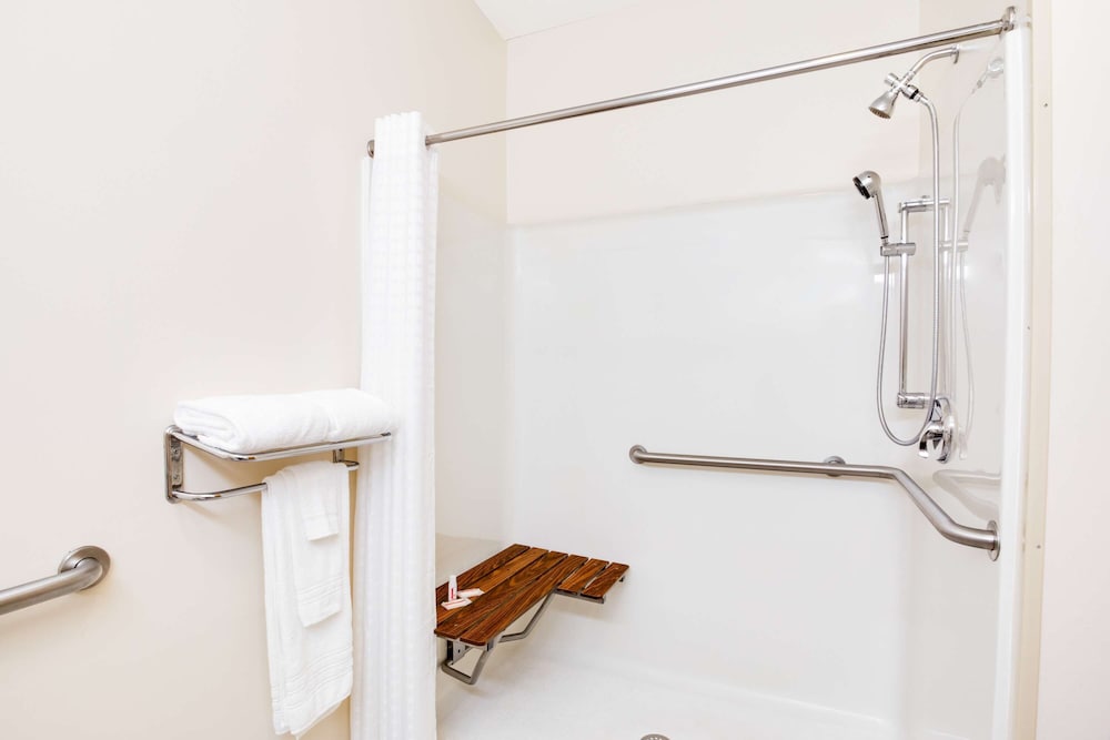 Standard Room, 1 Queen Bed, Accessible, Refrigerator & Microwave (Walk-in Shower;with Sofabed) - Photo 5