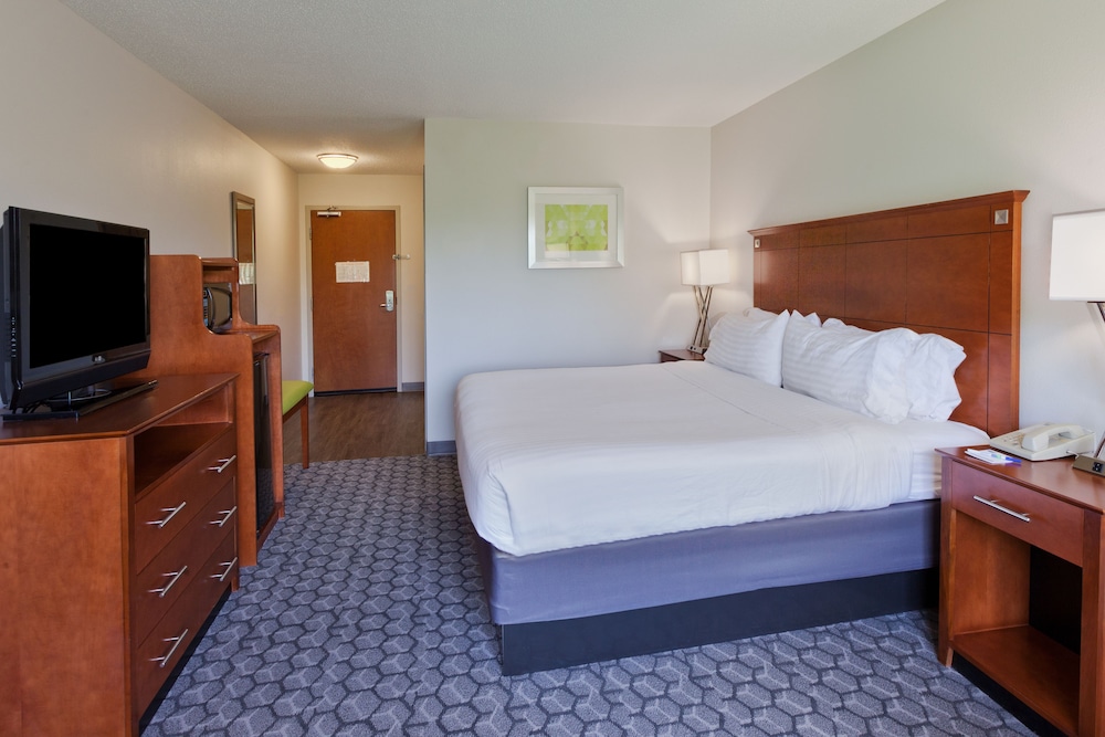 Standard Room, 1 King Bed, Accessible (Mobility Roll-In Shower) - Photo 3