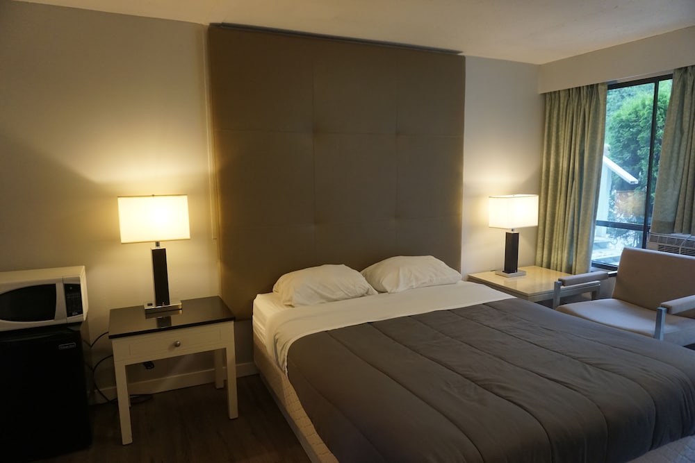 Deluxe Single Room photo 3
