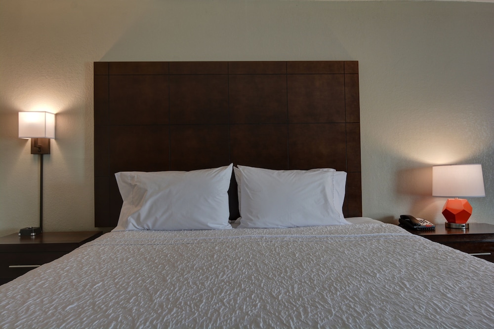 Room, 1 King Bed, Accessible, Non Smoking (Roll-In Shower) - Photo 2