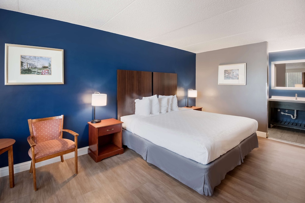 Standard Room, 1 King Bed, Non Smoking, Refrigerator & Microwave (Pet Friendly) - Photo 1