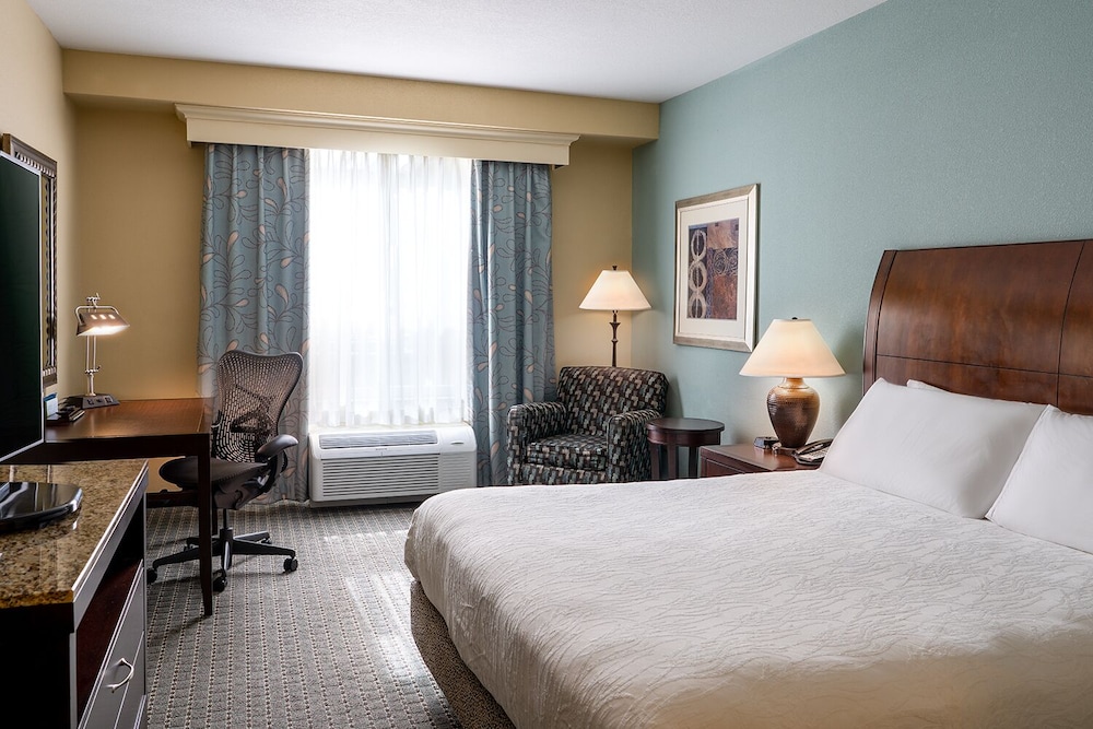 Room, 1 King Bed, Accessible - Photo 9