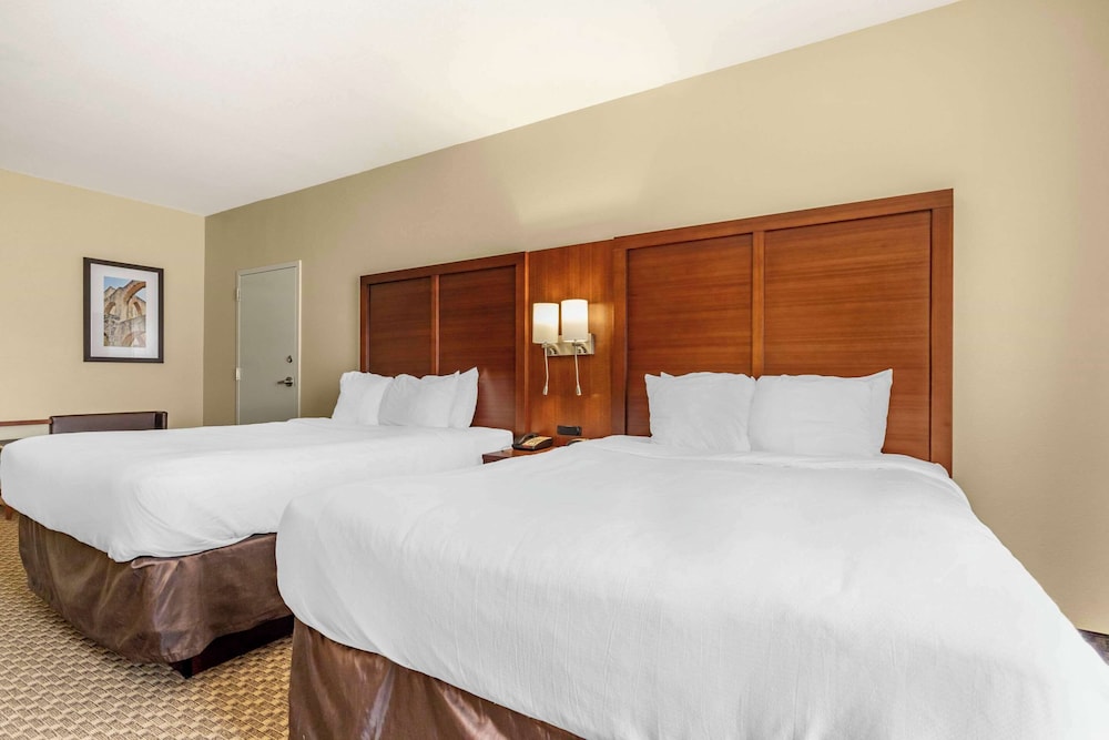 Comfort Suites Medical Center near Six Flags, Photo 12