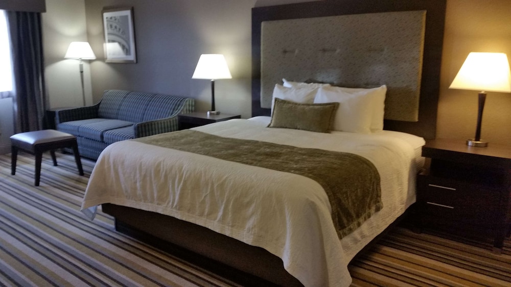 Standard Room, 1 King Bed, Non Smoking, Refrigerator & Microwave