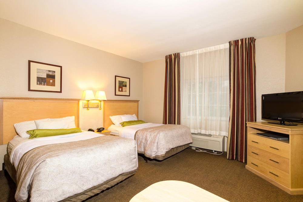 Studio Suite, 2 Double Beds - Photo 3