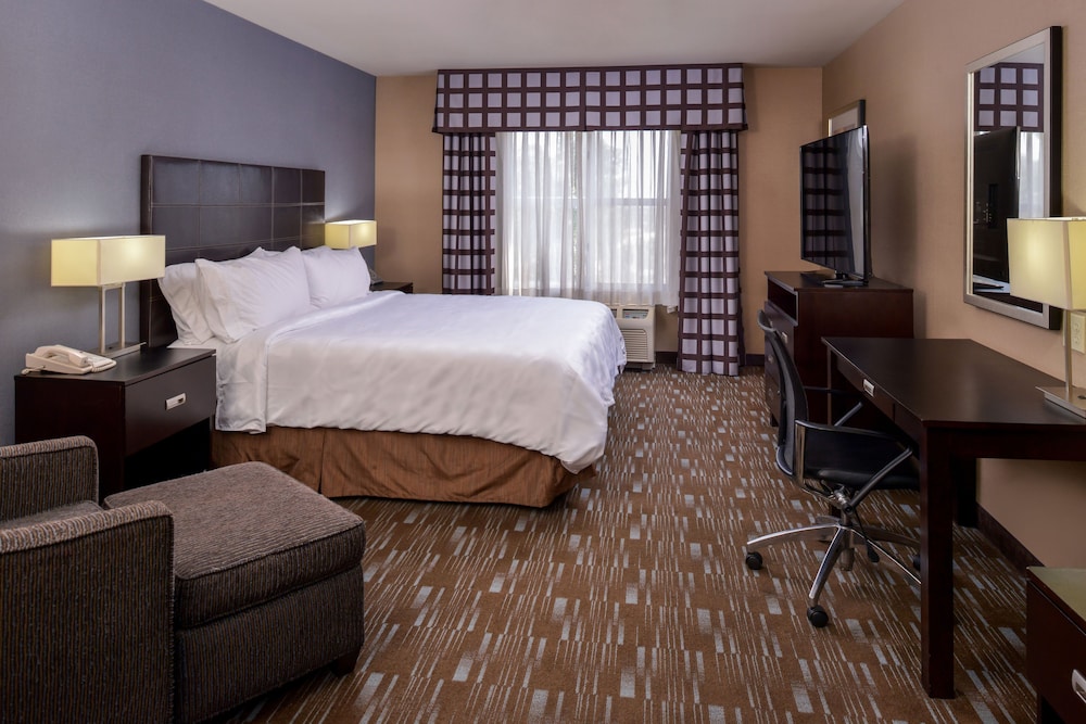 Suite, 1 King Bed, Accessible (Mobility, Roll-In Shower) photo 2