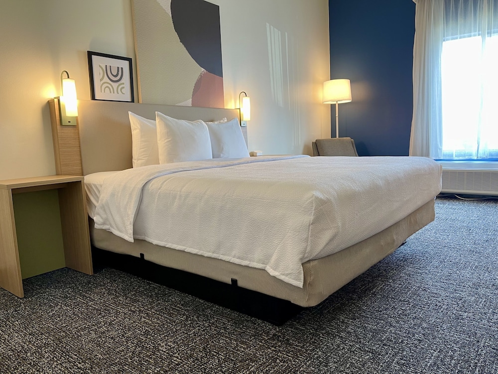 Room, 1 King Bed, Accessible (Mobility & Hearing, Roll-in Shower) - Photo 8