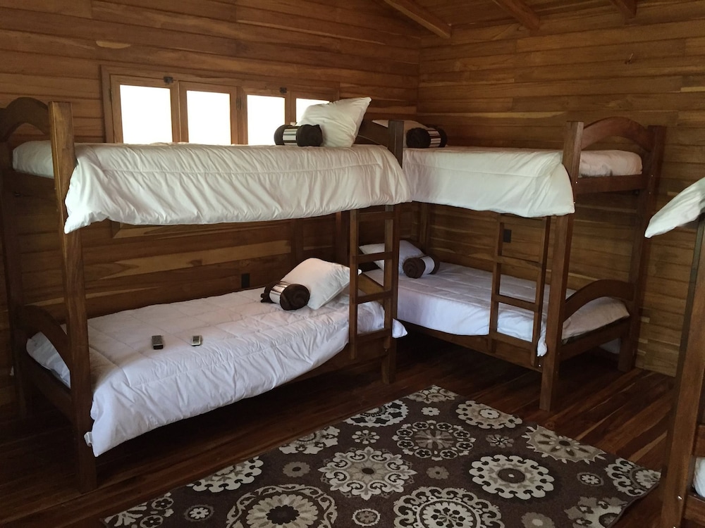 Shared Dormitory, Mixed Dorm photo 1