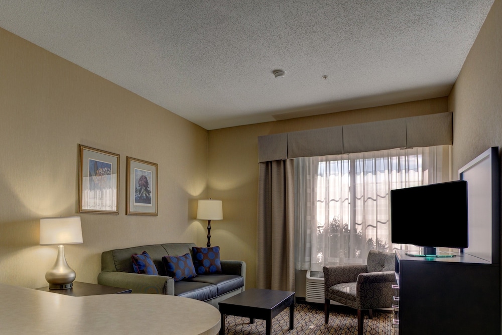 Suite, 1 Bedroom photo 3