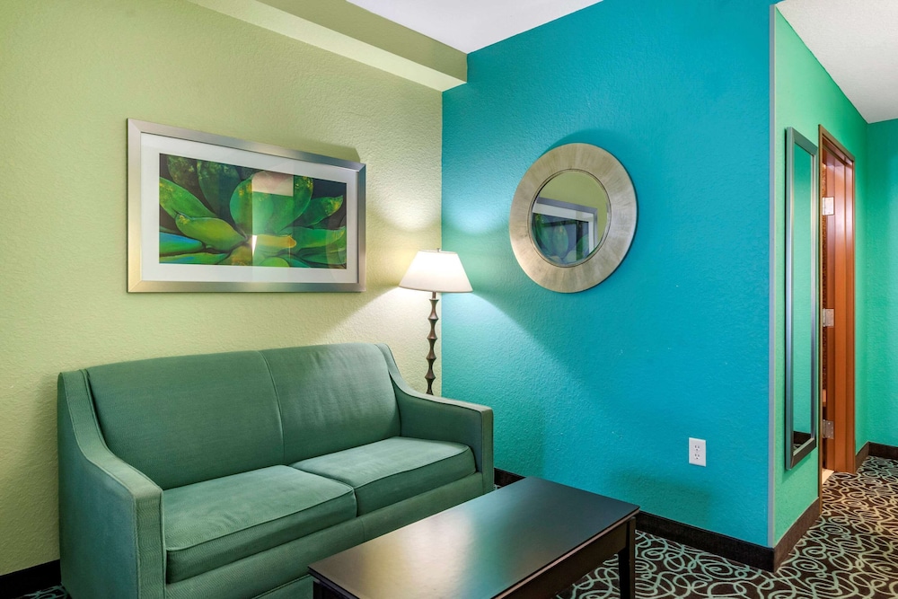 Suite, 1 King Bed With Sofa Bed, Accessible, Non Smoking photo 3