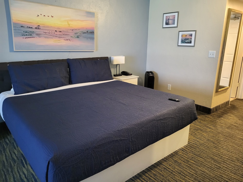 Standard Room, 1 King Bed, Kitchenette, Oceanfront - Photo 8