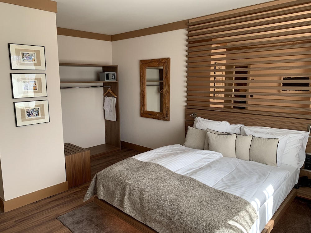 Comfort Room, 1 Queen Bed photo 3