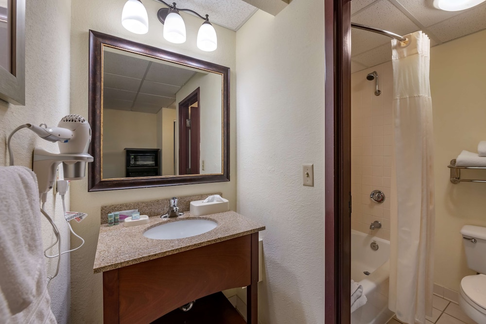 Standard Room, Multiple Beds, Non Smoking - Photo 4