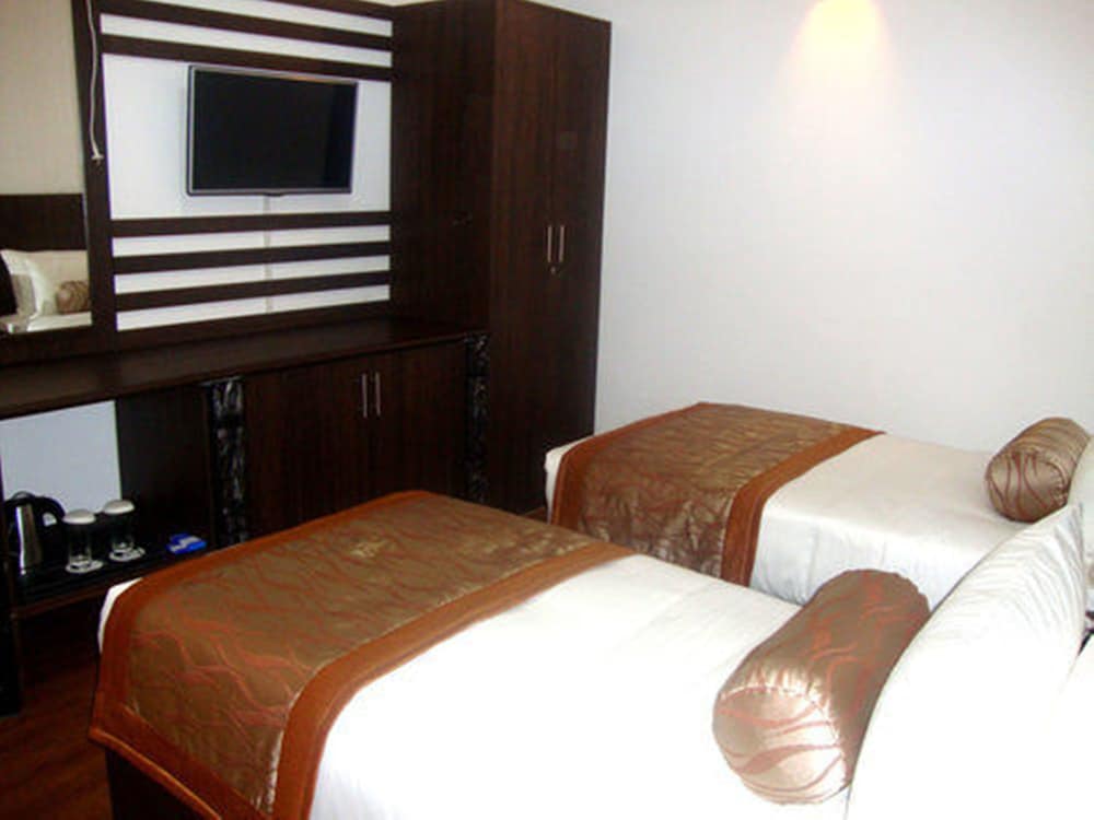 Deluxe Double or Twin Room photo 1