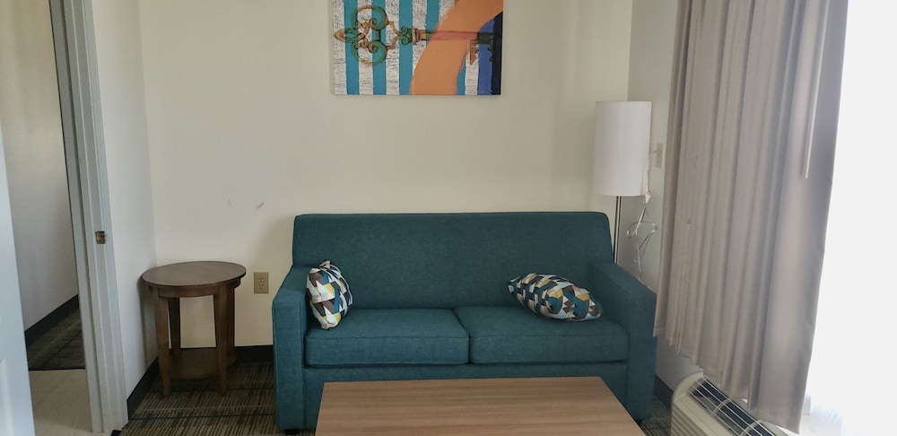 Suite, 1 King Bed with Sofa bed, Non Smoking (Efficiency) - Photo 6