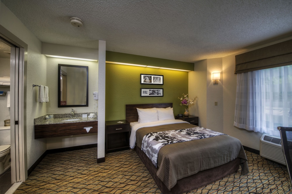 Standard Room, 1 Queen Bed, Accessible, Non Smoking - Photo 2