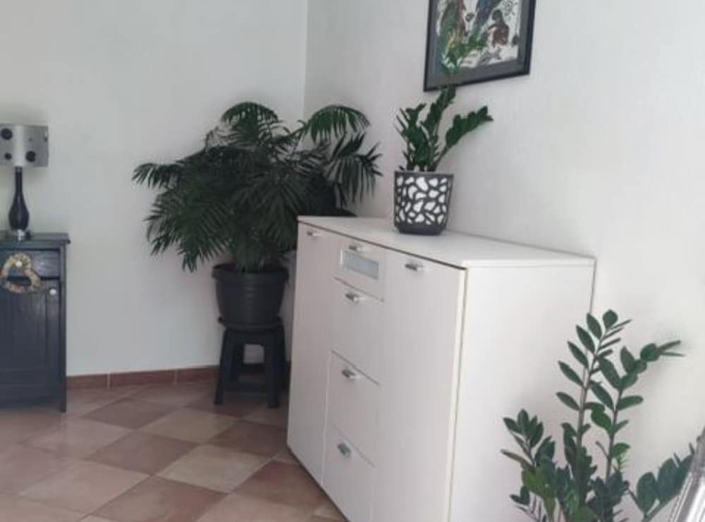 Apartment (One Bedroom Apartment 2)
