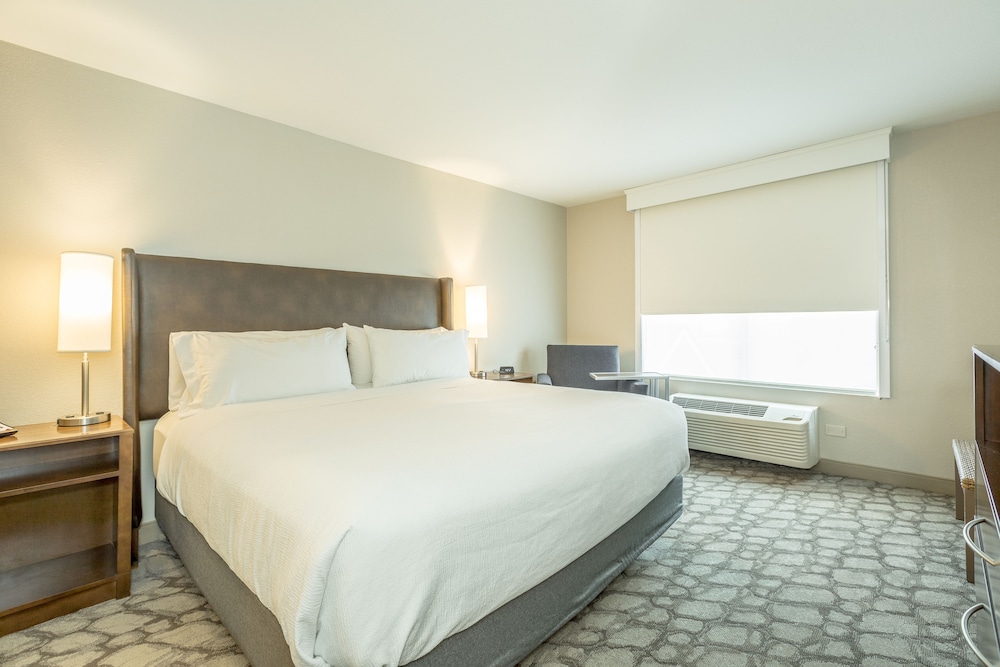Suite, 1 Bedroom photo 1
