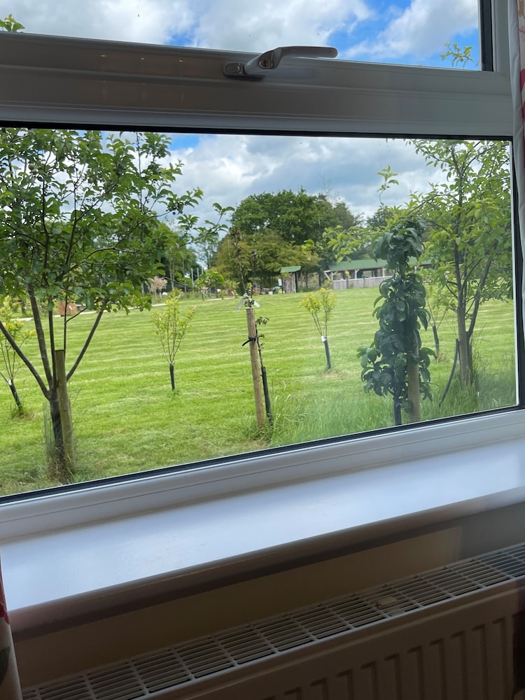 Comfort Double Or Twin Room, Garden View