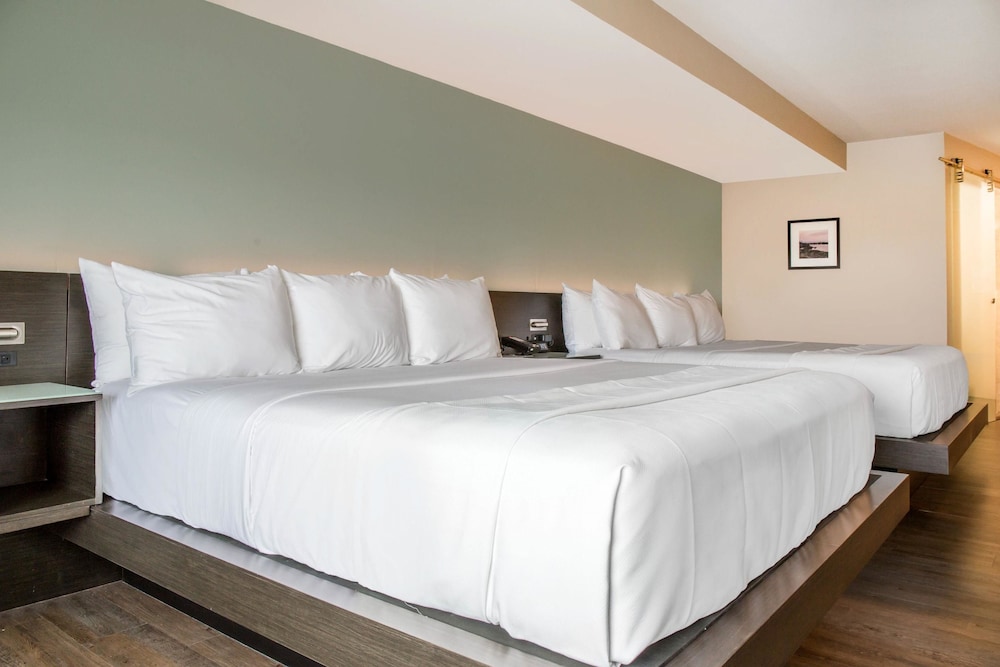 Room, Multiple Beds, Non Smoking - Photo 2