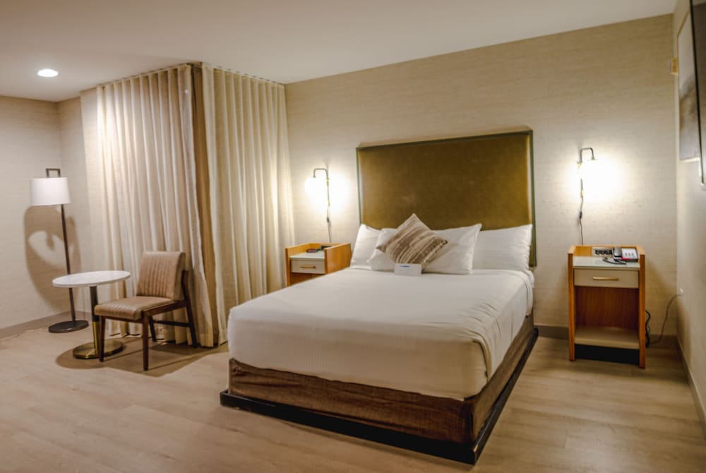 Basic Room, 1 Queen Bed, Accessible photo 1