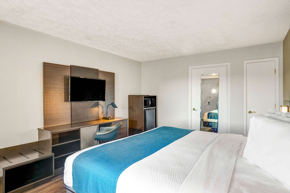 Deluxe Suite, 1 King Bed, Accessible, Non Smoking photo 2