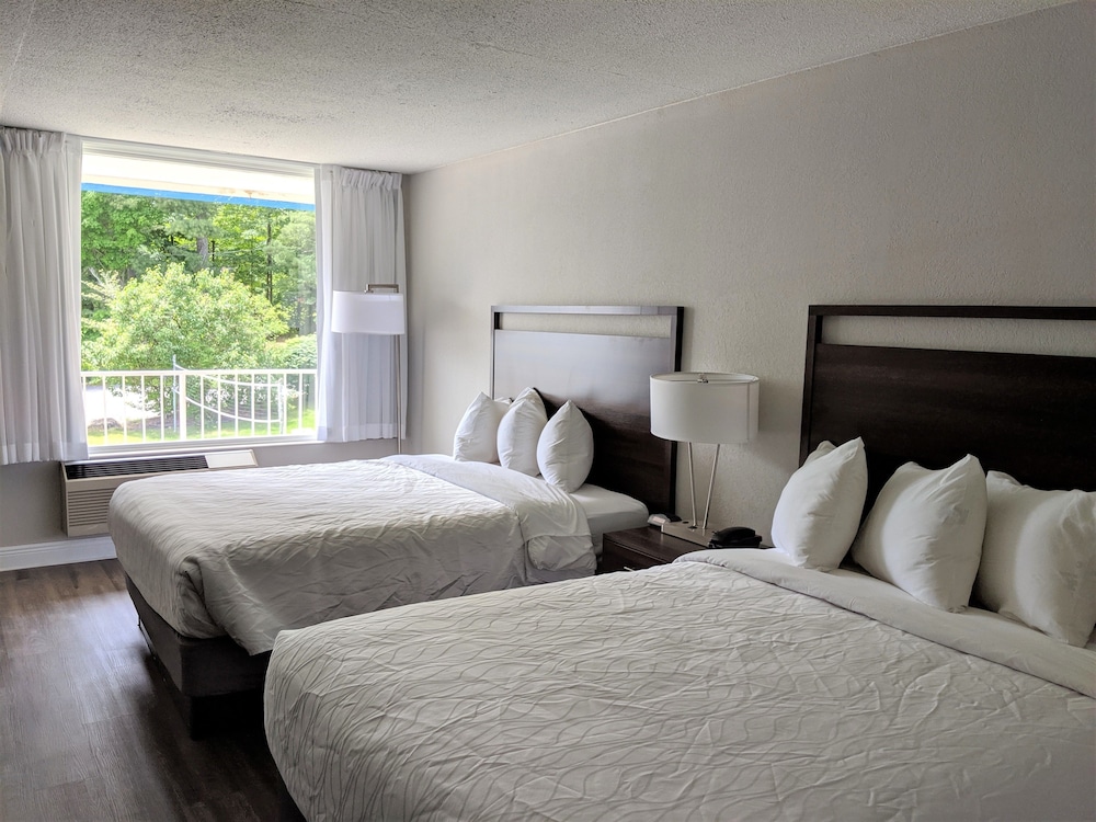 Room, 2 Queen Beds, Beachside - Photo 1