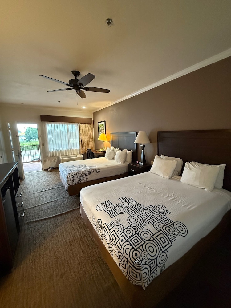 Studio Suite, 2 Queen Beds, Non Smoking - Photo 2