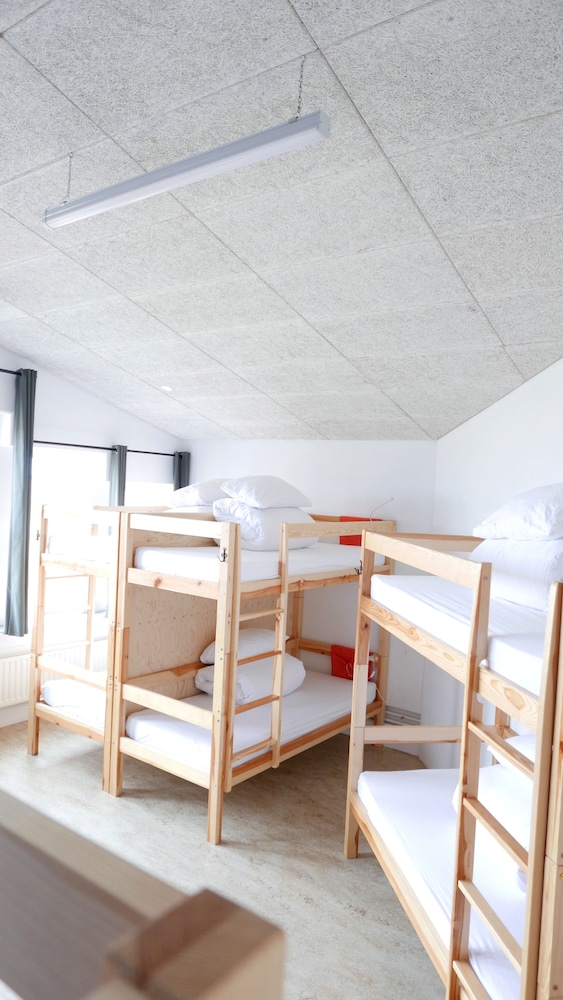 Shared Dormitory photo 1