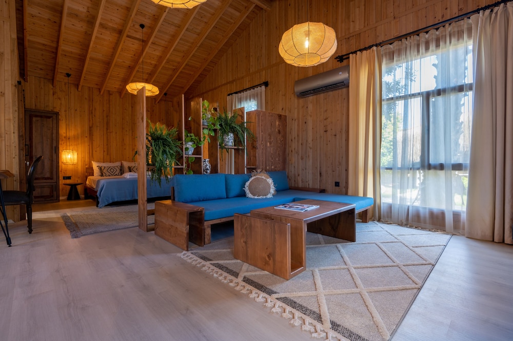 Deluxe Villa - Photo 1