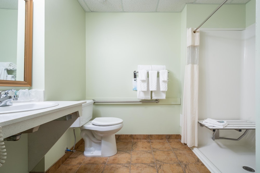 Basic Single Room