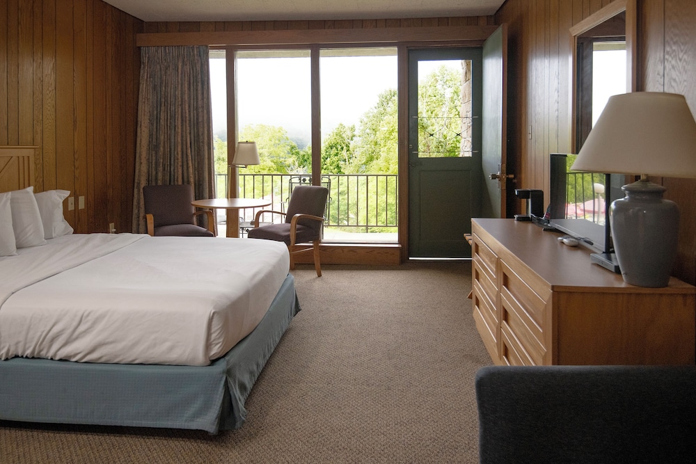 Room, 1 Queen Bed, Accessible, Lake View